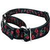 Country Brook Petz Martingale Dog Collar - Affection Collection - 2 of 4