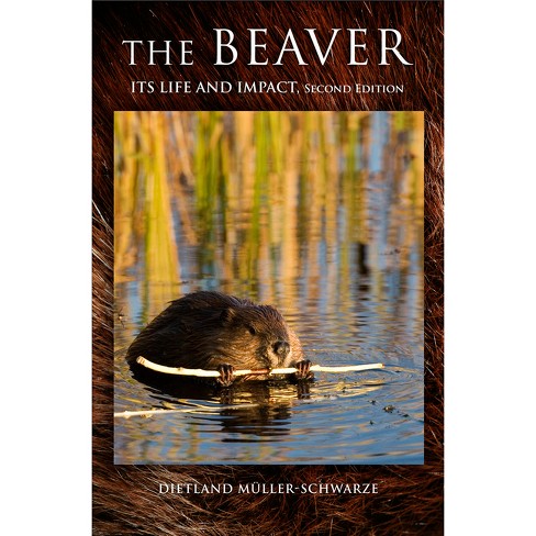 The Beaver - 2nd Edition by  Dietland Müller-Schwarze (Hardcover) - image 1 of 1