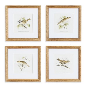 Plum & Post Perching Bird Study Petite, Set Of 4 - 1 of 3