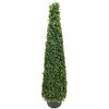 Northlight Two-Toned Artificial Boxwood Topiary Cone Tree in Pot - 4' - 4 of 4