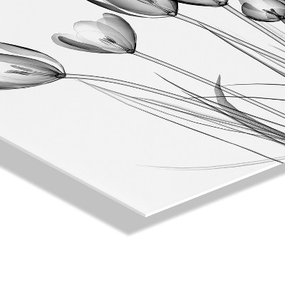 Crocus X-Ray Floral 23" x 31" Acrylic Wall Art