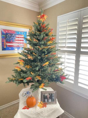 Guest review image 2 of 2, zoom in