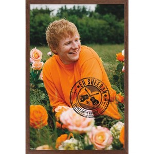 Trends International Ed Sheeran – Rose Field Framed Wall Poster Prints - 1 of 4