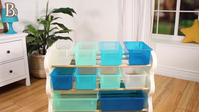 Totes Tidy, Storage Organizer