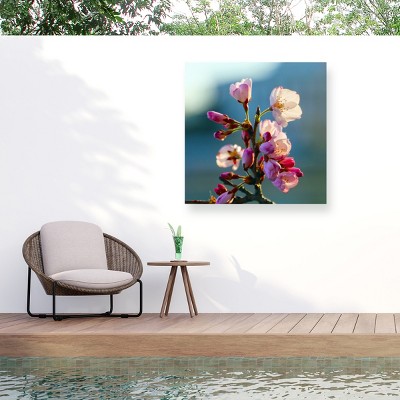 Mich Catanzaro Cherry Blossom Outdoor Canvas Art