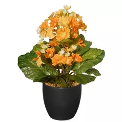 National Tree Company 12" Potted Primula Plant