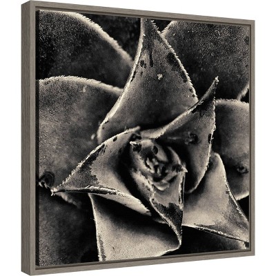 20" x 19" Black and White Succulent Framed Canvas Print