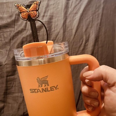 The coral one >>> #stanleycup #charlottenc #targetfinds, Stanley Cups