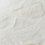 wolf white