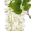 Vickerman 56" Artificial Wisteria And Foliage Hanging Spray - 2 of 4