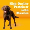 Pedigree with Tender Bites Chicken & Steak Flavor Adult Complete & Balanced Dry Dog Food - 14lbs - 3 of 4