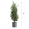 Gulches Series  Green Shatterproof Real Touch Pine Tree in Pot Christmas Ornament - 4 of 4