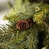 Sullivans 72" Artificial Alpine Fir Garland, Green - 2 of 4