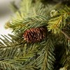 Sullivans 72" Artificial Alpine Fir Garland, Green - image 2 of 4