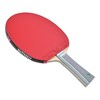 Butterfly Viscaria Pro-Line Racket + Dignics 05 + Dignics 05 - 2 of 4