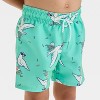 Toddler Boys' Sea Gull Printed Swim Shorts - Cat & Jack™ Aqua Green - 3 of 3