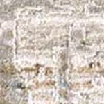 olive, charcoal, taupe, dusty sage, light gray