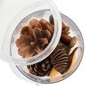 Kaplan Early Learning Carry and Discover Magnification Containers - Set of 2 - 4 of 4