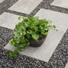 Gardenised Brown Outdoor Rustic Half Barrel Flower Garden Planter Bowl, Plastic - 3 of 4