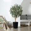 DR.Planzen 72" Artificial Olive Tree with Real Wood Branches - 6FT UV Resistant Indoor/Outdoor Fake Plant in 15.7" Planter (B/W/Coffee) - 3 of 4