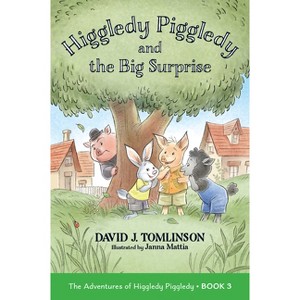 Higgledy Piggledy and the Big Surprise - (Adventures of Higgle) by  David J Tomlinson (Paperback) - 1 of 1