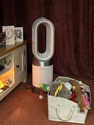 Guest review image 1 of 1, zoom in