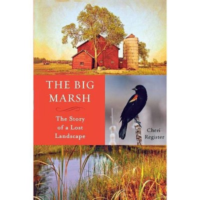 The Big Marsh - by  Cheri Register (Paperback)