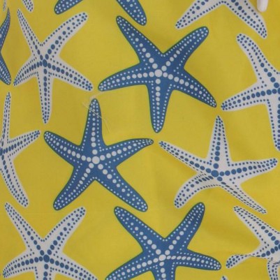 citron - starfish