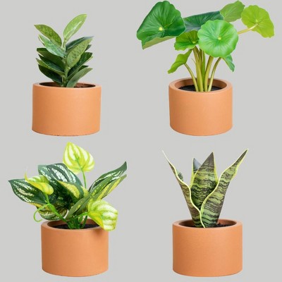 4ct Potted Plants - Bullseye's 