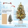 24 Inch Pre-lit Tabletop Christmas Tree with Lights, Mini Christmas Tree with Cement Basin Base, Artificial Pine Christmas Trees for Holiday Decor - 4 of 4