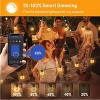 BlueAcorn Indoor/Outdoor Bluetooth LED Globe String Lights, 100ft - 2 of 4
