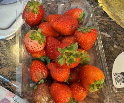 Guest review image 1 of 1, zoom in