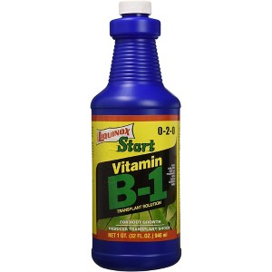 Liquinox Start 0-2-0 Vitamin B-1 Transplant Solution and Root Stimulant, 1 Quart - 1 of 1
