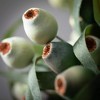 Sullivans Artificial 16" Berry Pod Bush Set of 3 - 2 of 4