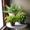 The HC Companies Sierra Round Self-Watering Pot, Plastic Stoneware Planter with Internal Disk for Indoor and Outdoor Plants, 16 Inch, Arizona Sand - 3 of 3