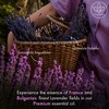 Majestic Pure Lavender Essential Oil with Dropper - 100% Pure and Natural Premium Grade - 1 Fl Oz - 4 of 4