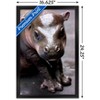Trends International Cute Pygmy Hippopotamus Framed Wall Poster Prints - 3 of 4