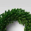 21.25" Preserved Boxwood Wreath - Threshold™ - image 3 of 4