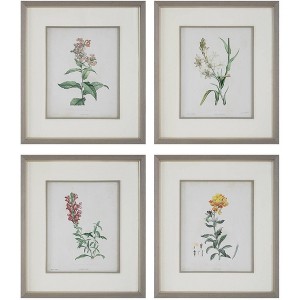 Uttermost Heirloom Blooms Study 30" High 4-Piece Framed Wall Art Set - 1 of 1