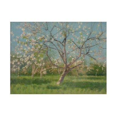 14" x 19" Laszlo Mednyanszky 'Orchard Trees in Blossom' Unframed Wall Canvas - Trademark Fine Art