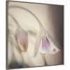 30" x 30" Soft Shades of Pink Petals by Carla Vermeend Framed Canvas Wall Art Print - Amanti Art: Modern Decor, Polystyrene Frame - 2 of 4