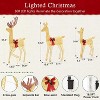JIONJOY 3-Piece Lighted Christmas Deer Family Set – 5.3Ft Large Standing Reindeer, Holiday Decoration, Gold Fabric, Includes Stakes & Zip Ties - 3 of 4