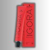 Schwarzkopf Professional Igora Royal Hair Color Dye - 9,5-31 - Pastel Mint Haircolor - 2 of 3