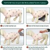 Kuoser Recovery Suit for Dogs Cats After Surgery, Dog Abdominal Wounds Bandages, Substitute E-Collar & Cone - 4 of 4