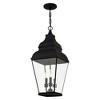 Livex Lighting Exeter 3 - Light Pendant in  Black - 4 of 4