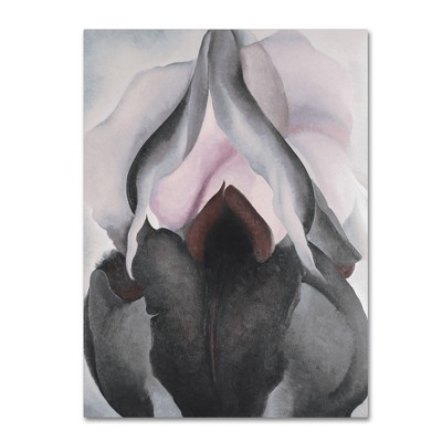 Black and Gray Floral Canvas Art, 24 x 32