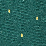 hunter green dot patterned fabric/gold vein frame