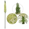 Floral Home 47" Green Foxtail Spray - 6-Piece - 2 of 3