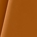 apricot light orange