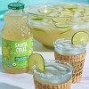 Santa Cruz Organic Jalapeno Limeade - 32 fl oz - 2 of 4